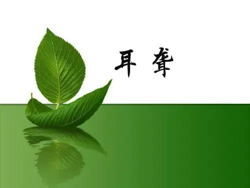 耳聋PPT课件