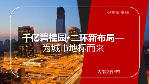 碧桂园蜜柚大客户推介PPT