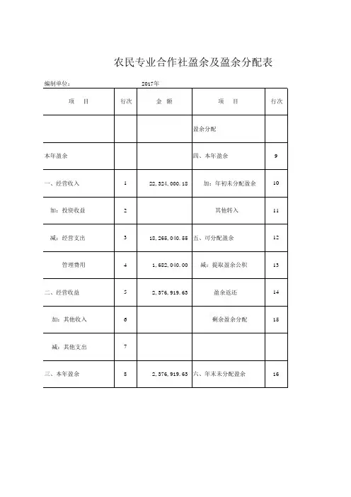 农民专业合作社财务报表
