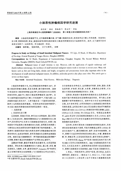小肠恶性肿瘤病因学研究进展