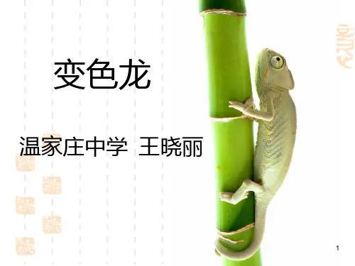 《变色龙》课件PPT课件