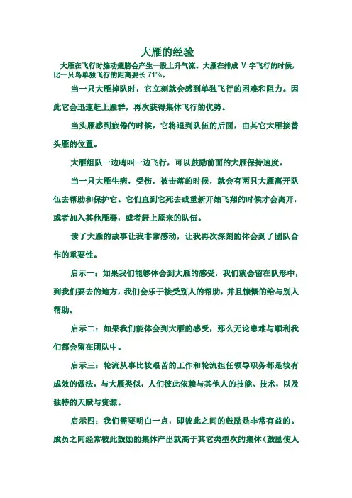 大雁的经验