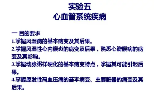 心血管呼吸实验-201404