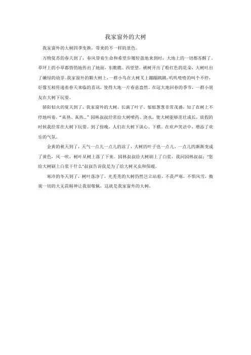 我家窗外的大树