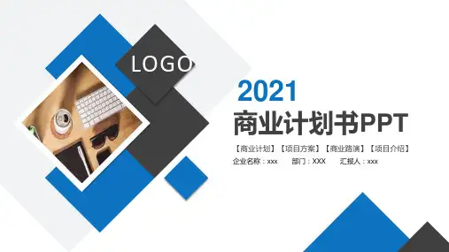 知名公司商业计划书PPT