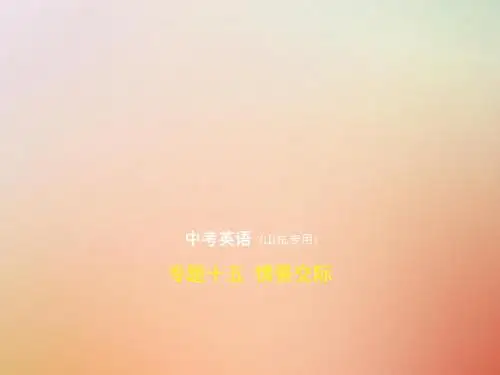 (山东专用)2019年中考英语复习专题十五情景交际(试卷部分)(含18年中考真题精解精析)课件
