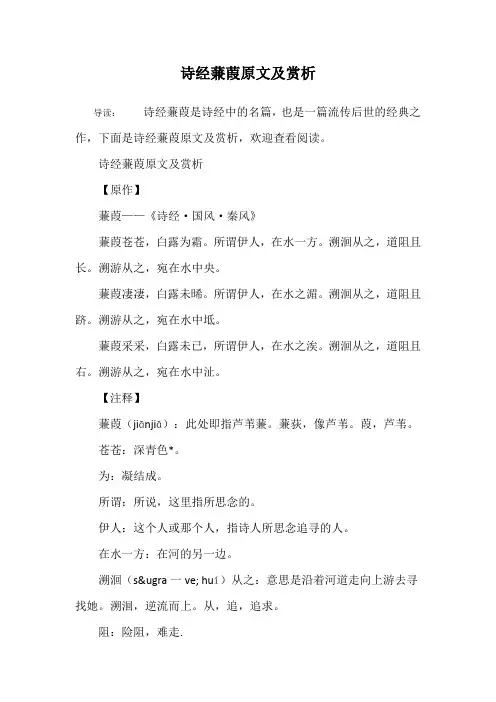 诗经蒹葭原文及赏析