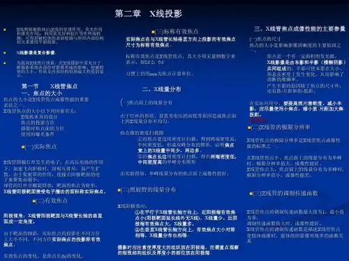 X线投影