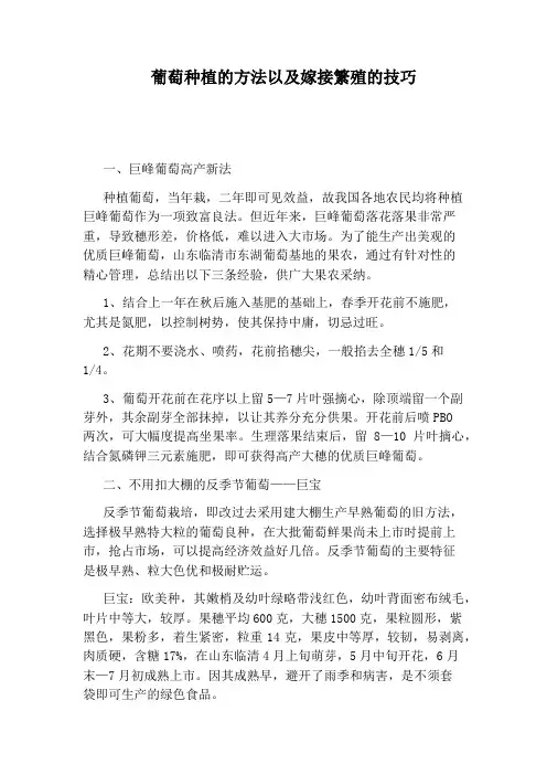葡萄种植的方法以及嫁接繁殖的技巧