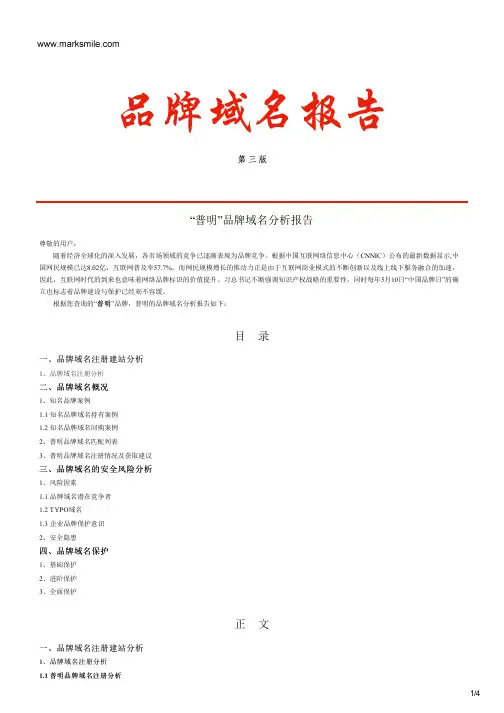 普明的品牌域名分析报告