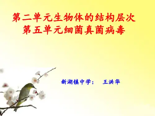 专题复习一-生物体的结构层次PPT课件