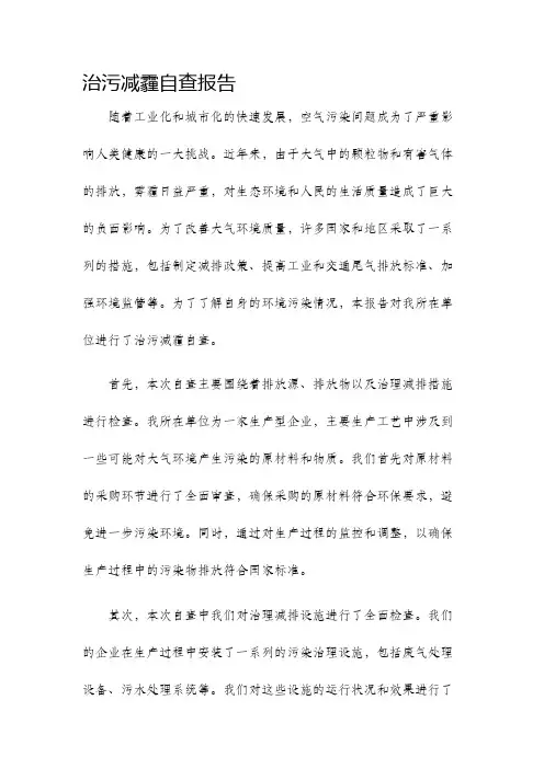 治污减霾自查报告
