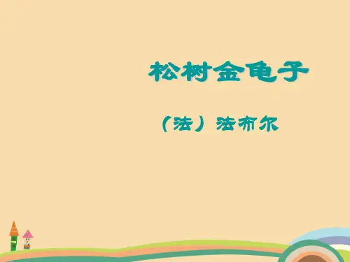 七年级语文松树金龟子PPT教学课件 (2)
