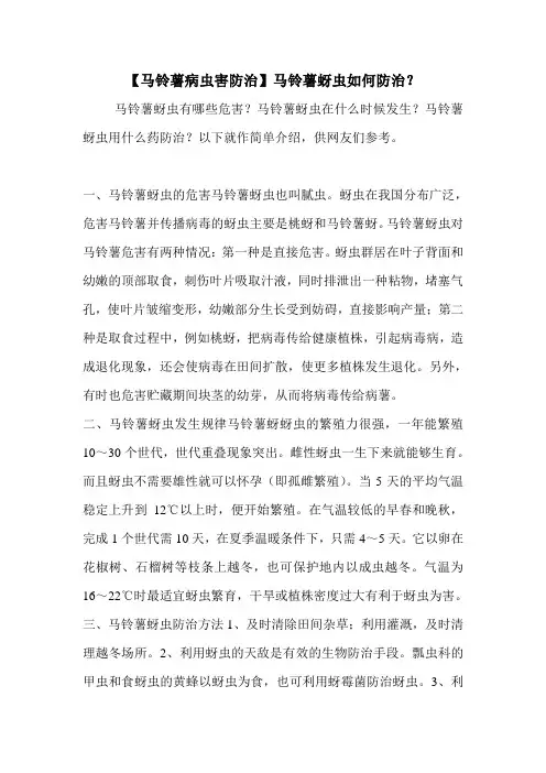 【马铃薯病虫害防治】马铃薯蚜虫如何防治？