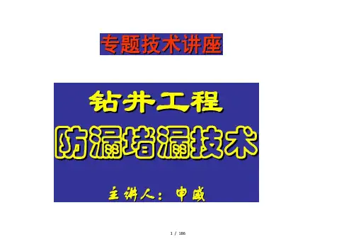 钻井工程防漏堵漏技术