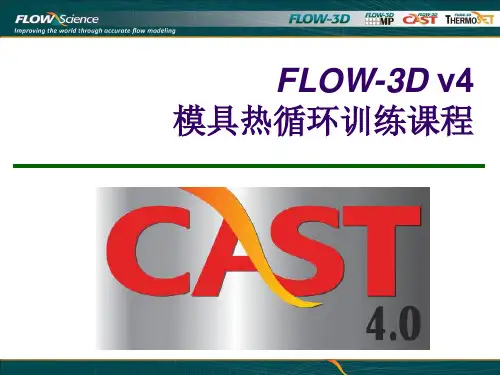FLOW D Cast v 高压铸造训练教材