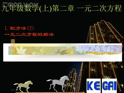 北师大版 配方法BPPT教学课件