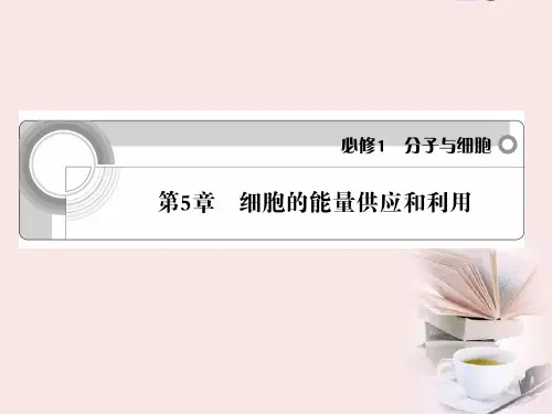 高考生物 第5章 细胞的能量供应和利用总复习课件 新人教版