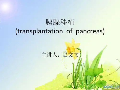胰腺移植讲稿