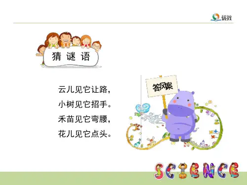 《今天刮什么风》教学课件