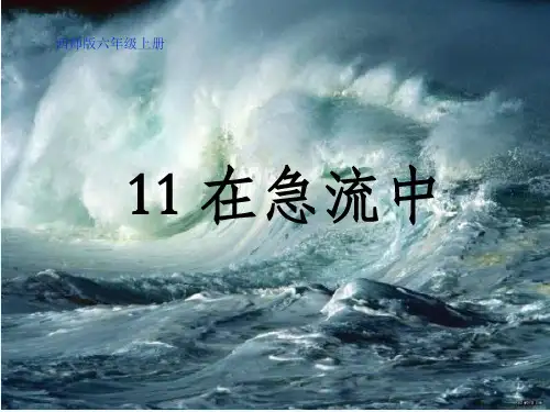 六年级上册语文课件-3.11 在急流中｜西师大版 (共11张PPT) (1)