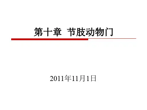 节肢动物门
