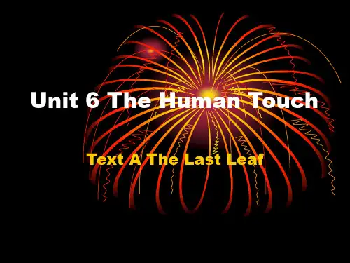 Unit 6 The Human Touch解析