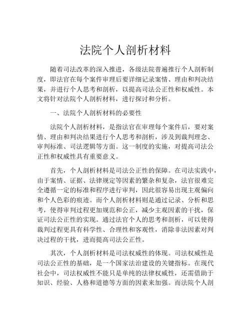 法院个人剖析材料