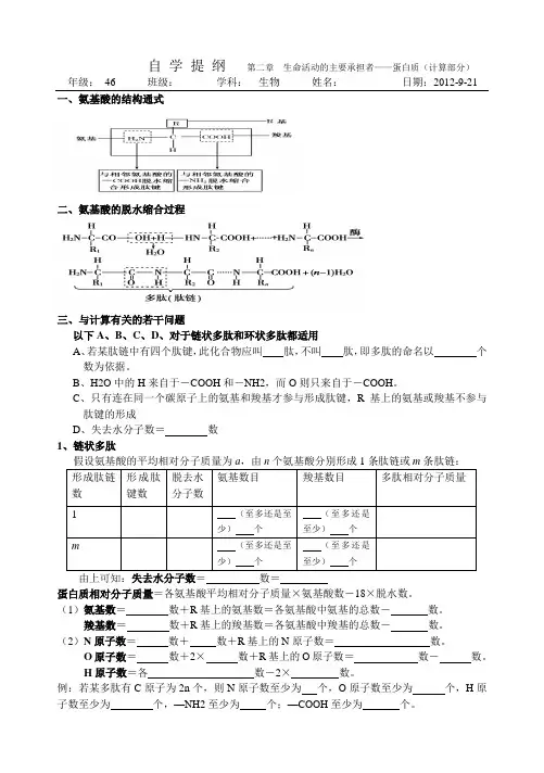 第二章 蛋白质(计算部分)