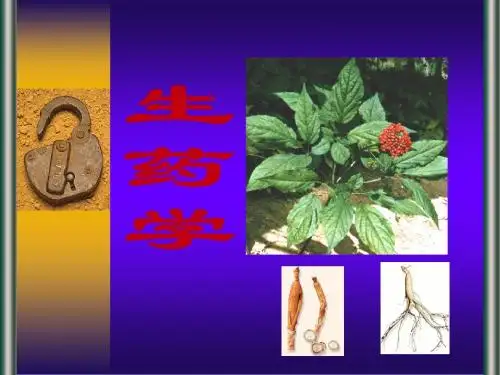 生药学总论藻菌蕨裸