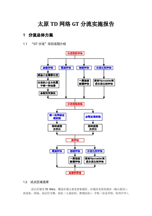 TD网络GT分流实施报告