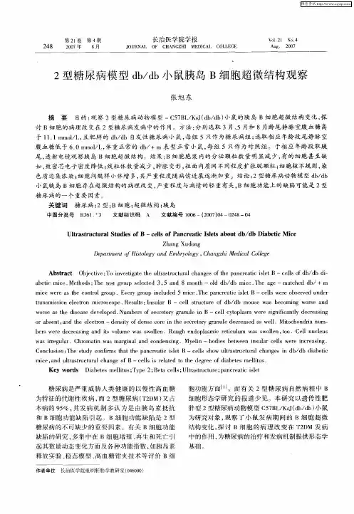 2型糖尿病模型db／db小鼠胰岛B细胞超微结构观察