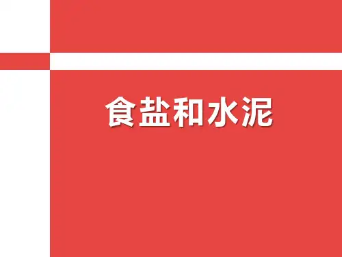 《食盐和水泥》PPT
