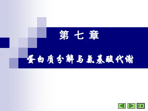 第七章 氨基酸(护理)