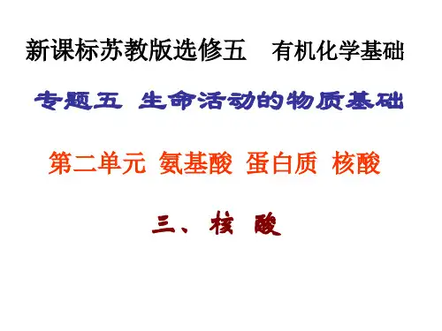 高二化学核酸课件(中学课件201909)