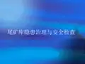 尾矿库隐患治理与安全检查