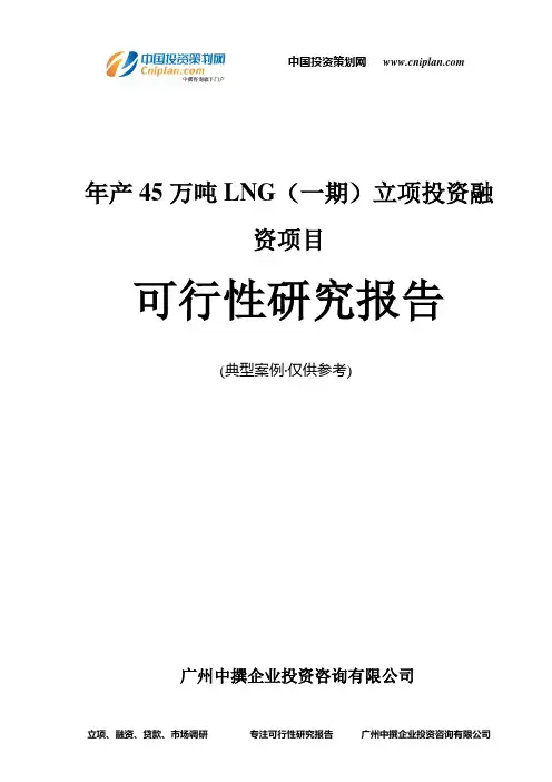 年产45万吨LNG(一期)融资投资立项项目可行性研究报告(中撰咨询)