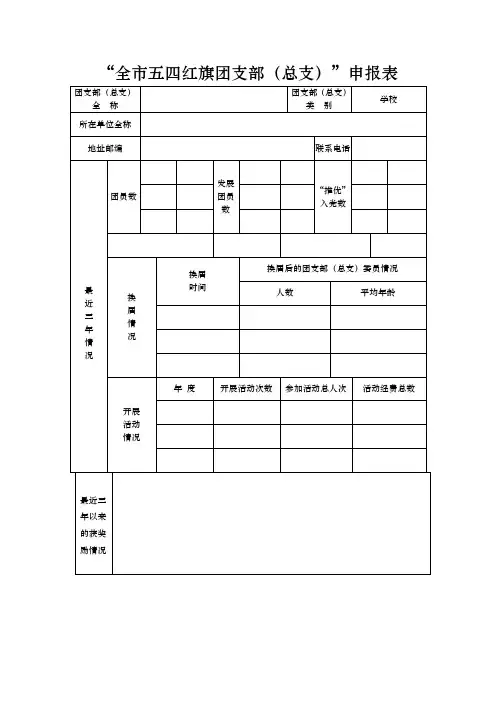 全市五四红旗团支部申报表