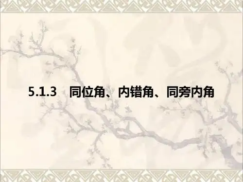 七年级数学下册5.1.3同位角内错角同旁内角习题课件新版新人教版