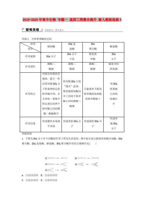 2019-2020年高中生物 专题一 基因工程整合提升 新人教版选修3