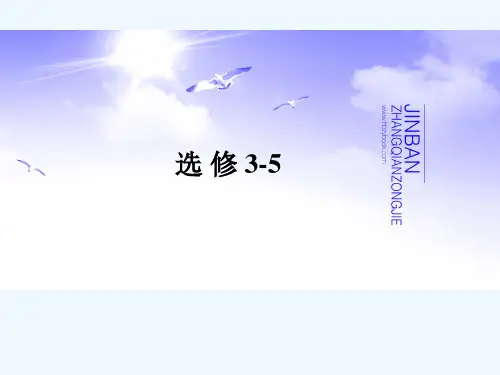 高考物理一轮复习基础知识梳理 碰撞与动量守恒1课件