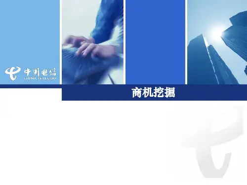 商机挖掘课件20080407(讲课版)