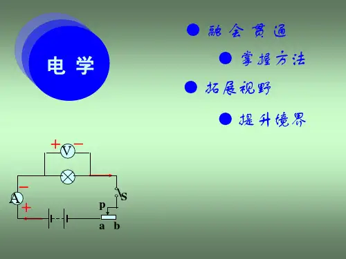 中考物理电学综合复习
