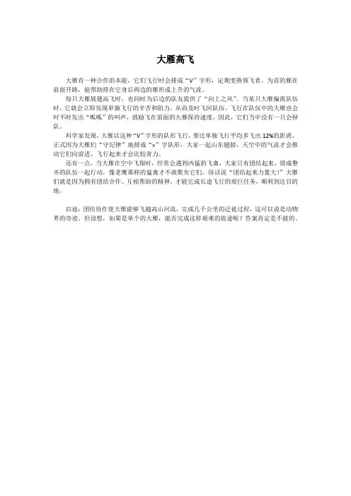 启迪故事——大雁高飞