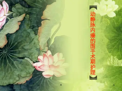 动静脉内瘘的围手术期护理40124