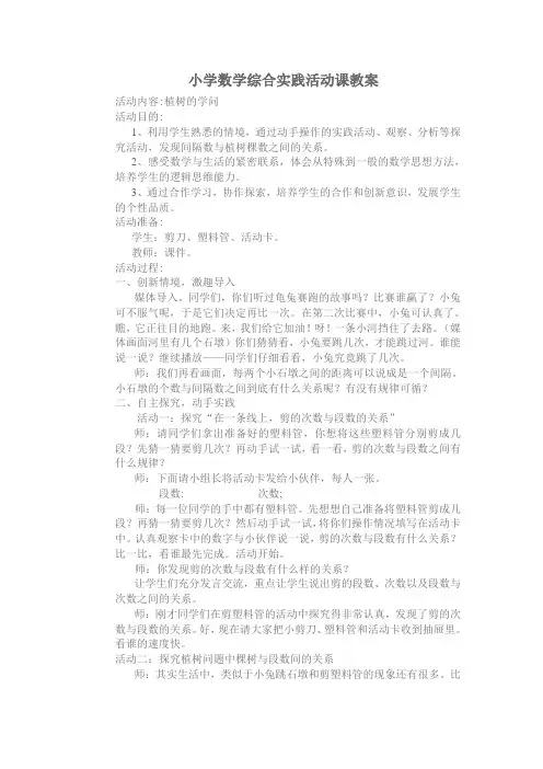 小学数学综合实践活动课教案