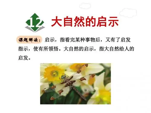 四年级下册语文课件-12、大自然的启示∣人教新课标