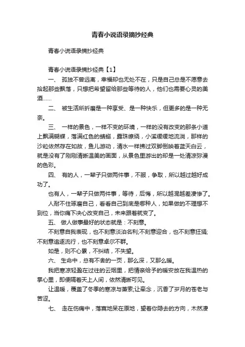 青春小说语录摘抄经典