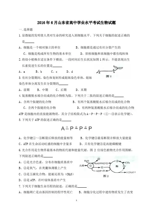山东省2016年夏季普通高中学业水平考试(会考)生物试题及答案精较版