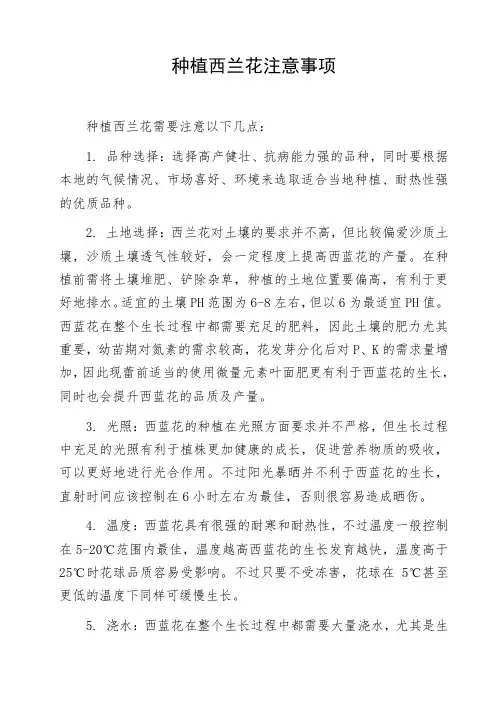 种植西兰花注意事项